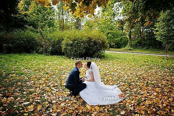 Wedding couple sitting at yellow leaves background autumn park [IBR123675116]