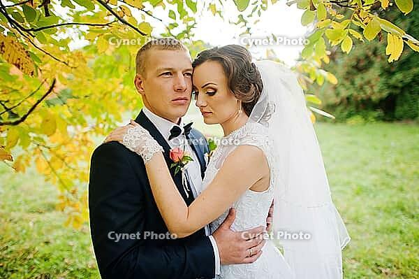 Wedding couple background yellow tree at autumn park [IBR123675120]