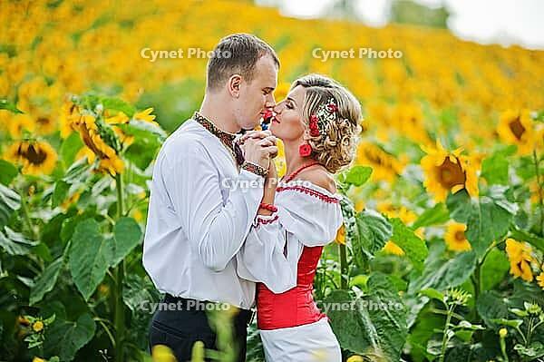 Wedding beautiful couple in traditional dress at the sunflower [IBR123675122]