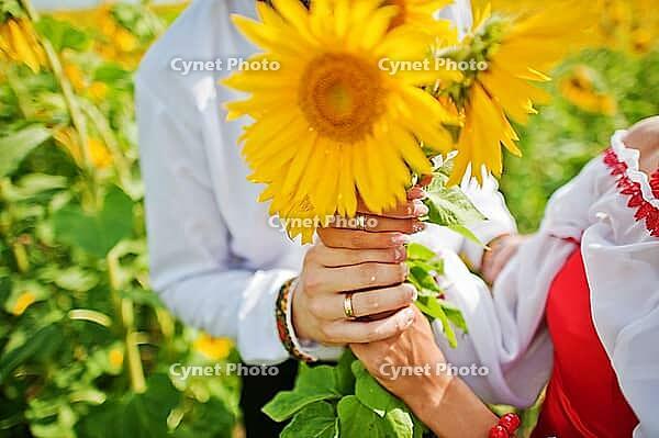 Wedding beautiful couple in traditional dress at the sunflower [IBR123675126]
