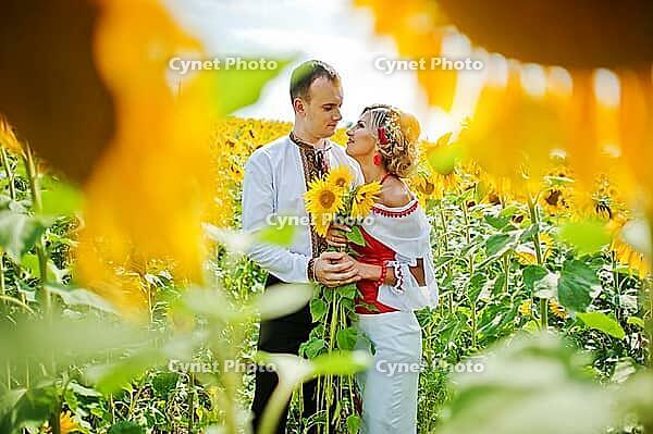 Wedding beautiful couple in traditional dress at the sunflower [IBR123675127]