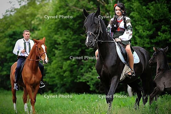 Young couple on national dress with horses [IBR123675146]