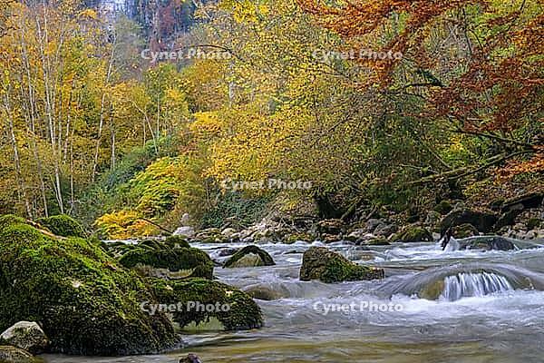 A river surrounded by colorful autumn trees and moss, Berchtesgaden National Park, Schönau am Königssee, Bavaria, Germany [IBR123700013]