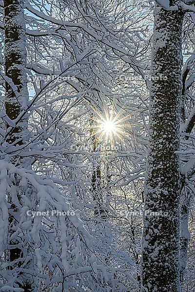 Snowy forest with sun rays shining through the trees, winter atmosphere, Geo nature park Park Frau Holle Land, Hoher Meissner, Hessian Lichtenau, Hesse, Germany [IBR123700015]