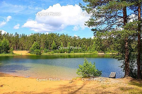 Summer landscape on a clear lake. Sunny weather. Lake and forest [IBR123700081]