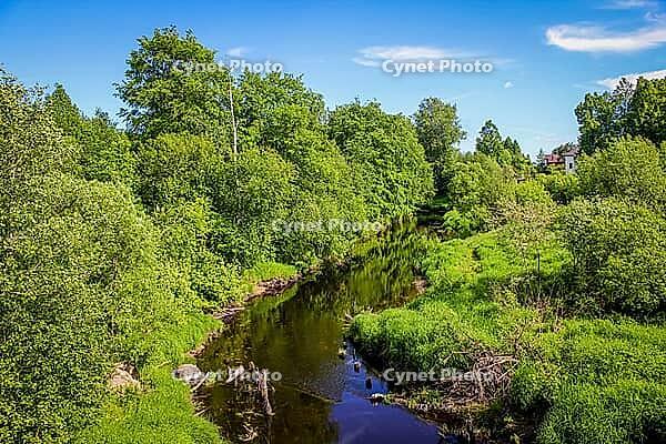 Spring Park with young greens. Russian park. Spring landscape. Young greens [IBR123700082]