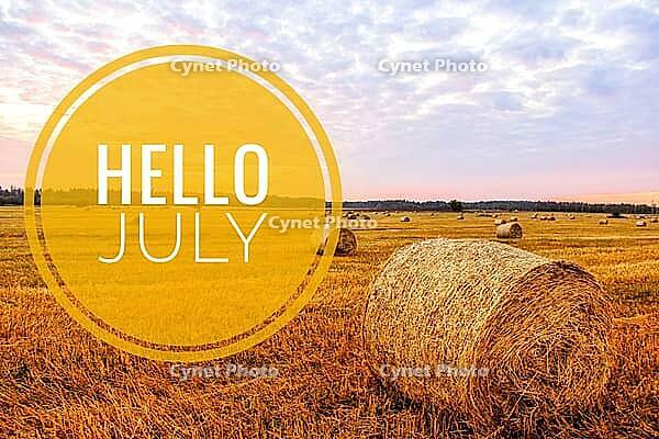 Banner hello july. New month. Welcome card Evening summer sunset. Summer landscape. Text on the photo. Evening light [IBR123700087]