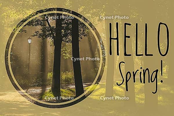 Postcard Hello Spring. Welcome card banner. Spring mood. Nature wakes up [IBR123700089]