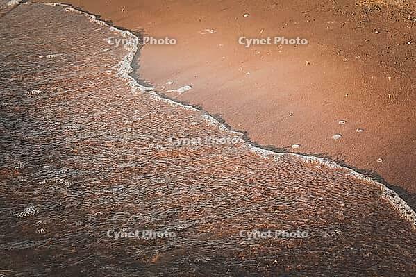 A wave walks along the sandy beach [IBR123700090]