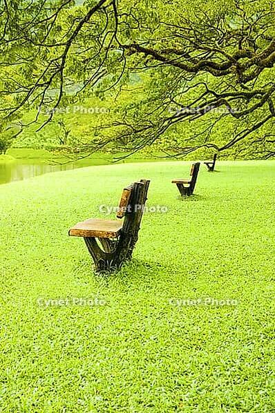 Empty chairs beside lake garden [IBR123713297]