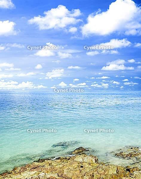 Tropical beach [IBR123713300]