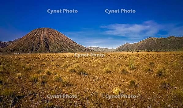 Spectacular landscape of Gunung Bromo and Sumeru volcanoes in Java, Indonesia [IBR123713304]