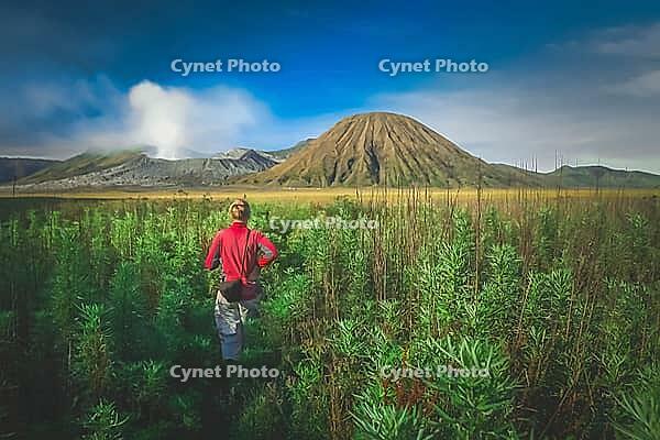 Female tourist walking through the high grass towards the craters of Gunung Bromo and Sumeru volcanoes in Java, Indonesia [IBR123713310]