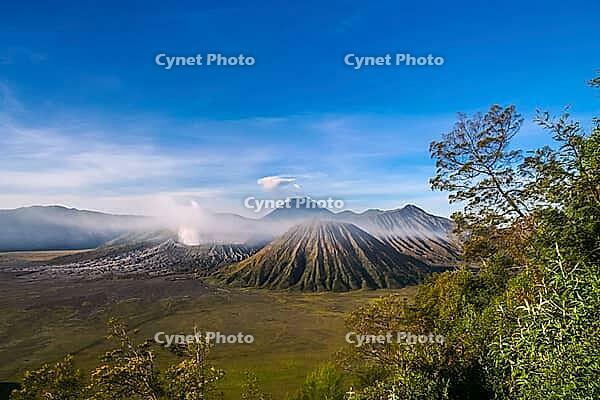 Early morning after sunrise view of the spectacular Gunung Bromo and Sumeru volcanoes in Java, Indonesia [IBR123713311]