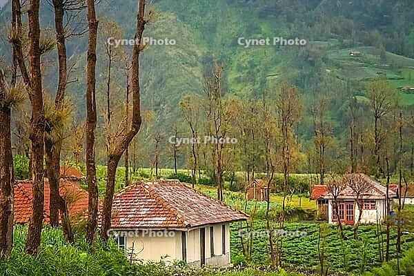 Cemoro Lawang village nearby the spectacular Gunung Bromo and Sumeru volcanoes in Java, Indonesia [IBR123713318]