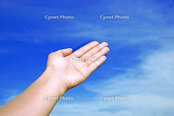 Giving hand [IBR123713345]