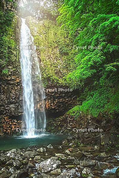 Small waterfall in the dense jungle of the tropical island of Sumatra, Indonesia [IBR123713380]