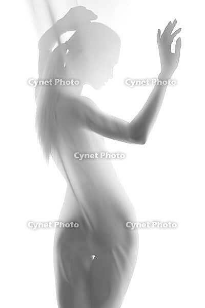 Silhouette of young sexy woman on white background leaning back. Studio shot [IBR123723191]