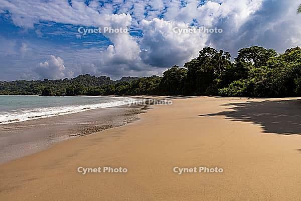 Beach, Manuel Antonio National Park, Costa Rica [IBR123760814]