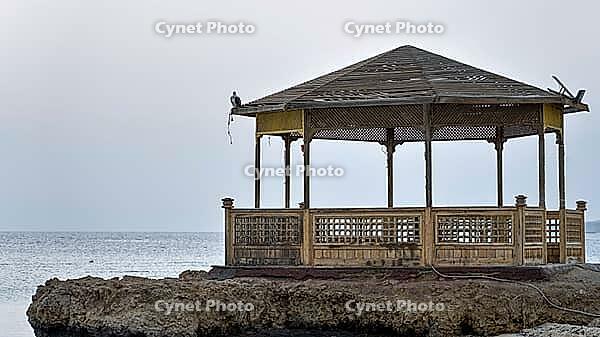 Wooden pavilion on a rock overlooking the still sea in a secluded setting, Shoni Bay, Egypt [IBR123769627]