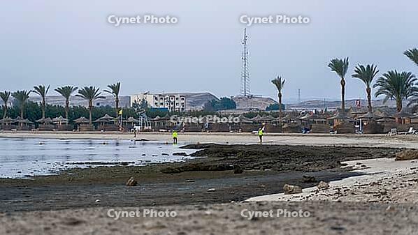 Morning atmosphere on a wide sandy beach with palm trees and calm sea, Shoni Bay, Egypt [IBR123769632]
