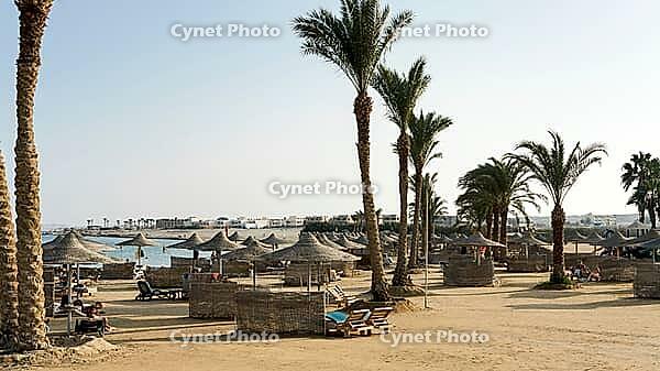 Lively resort on sandy beach with numerous umbrellas and palm trees, Shoni Bay, Egypt [IBR123769634]