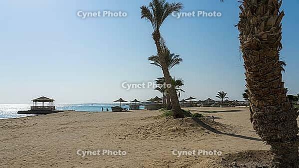 Quiet sandy beach with palm trees and umbrellas overlooking the sea, Shoni Bay, Egypt [IBR123769636]