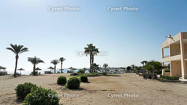 Sandy beach beach with palm trees and modern buildings by the sea under clear skies, Shoni Bay, Egypt [IBR123769637]