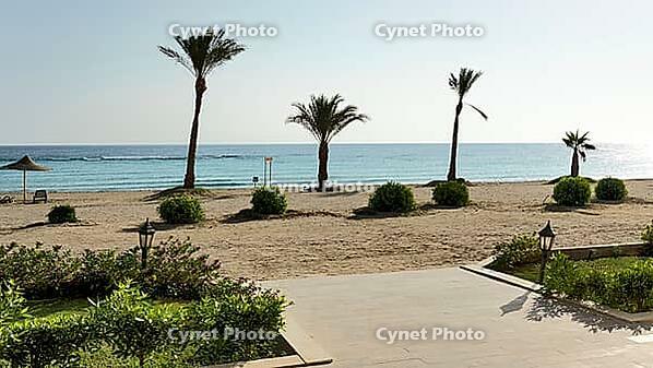 Sandy beach beach with palm trees on the blue sea on a sunny day, Shoni Bay, Egypt [IBR123769639]