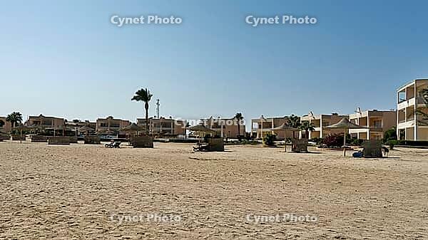 Beach with sand and palm trees in front of modern houses under clear skies, Shoni Bay, Egypt [IBR123769640]