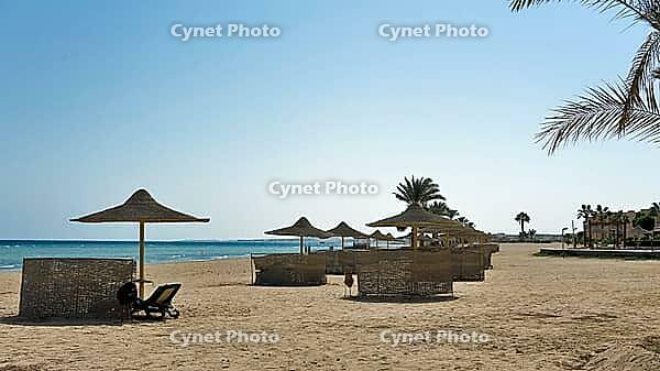 Peaceful sandy beach on the blue sea with empty umbrellas and palm trees, Shoni Bay, Egypt [IBR123769641]