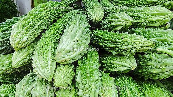 Heap of green bitter melons in close-up, Singapore, Singapore [IBR123769651]