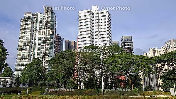 Several skyscrapers rise above a green expanse of lush trees under a clear blue sky, Singapore, Singapore [IBR123769660]
