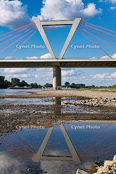 Airport bridge of the A44, cable-stayed bridge, reflection, motorway bridge across the Rhine near Meerbusch Düsseldorf, North Rhine-Westphalia, Germany [IBR123769703]