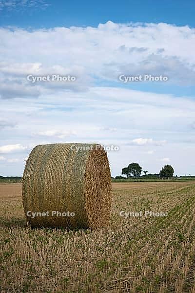 Straw bales on a stubble field in summer, North Rhine-Westphalia, Germany [IBR123769709]