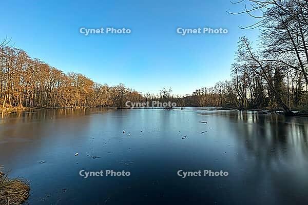 Forest lake with frozen water in winter, reflection, North Rhine-Westphalia, Germany [IBR123769717]