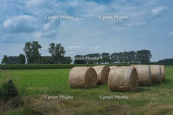 Straw bales in summer, North Rhine-Westphalia, Germany [IBR123769720]