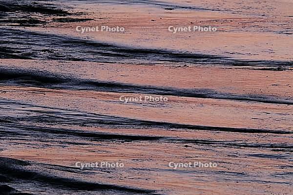 Wadden in Tümlau Bay, Wadden Sea National Park, Schleswig-Holstein, Germany [IBR123773529]