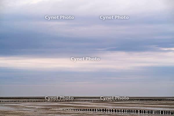 Old pile wave breakers, Wadden Sea National Park, Schleswig-Holstein, Germany [IBR123773598]
