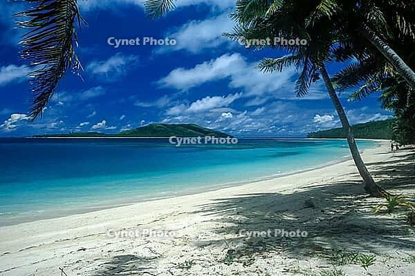 Beach, palm trees, sea, Tavewa island, Yasawa islands, Fiji [IBR123774732]