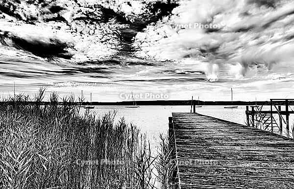 Sailboat, boat dock, Lake Ammer, Voralpensee, tourism, local recreation, vacation, greater Munich area, black and white photo, Upper Bavaria, Bavaria, Germany [IBR123774734]
