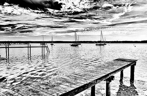 Sailboat, boat dock, Lake Ammer, Voralpensee, tourism, local recreation, vacation, greater Munich area, black and white photo, Upper Bavaria, Bavaria, Germany [IBR123774748]