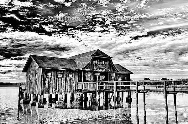 Boat dock, boathouse, Lake Ammer, Voralpensee, tourism, local recreation, vacation, greater Munich area, black and white photo, Upper Bavaria, Bavaria, Germany [IBR123774750]