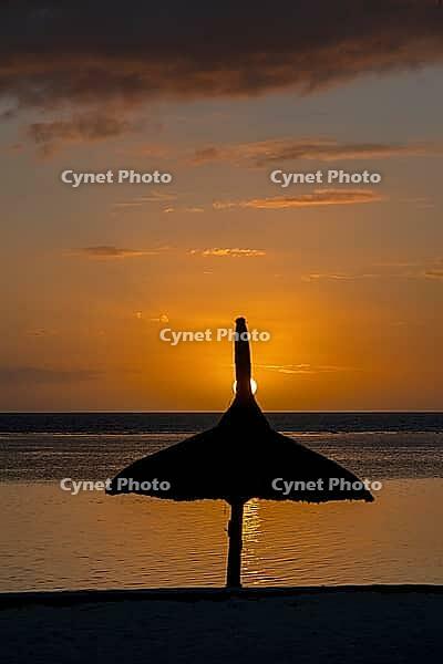 Beach sunset, parasol, Flic-en-Flac, Mauritius [IBR123774797]