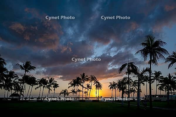 Sunset on beach, palm trees, clouds, Flic-en-Flac, Mauritius [IBR123774798]