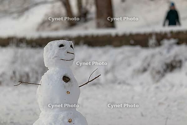 Winter symbol, snowman on a hiking trail on the Elbe, Hamburg, Germany [IBR123790050]