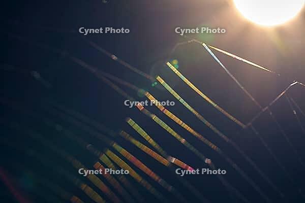 Spider web against light, Kempen, North Rhine-Westphalia, Germany [IBR123790060]