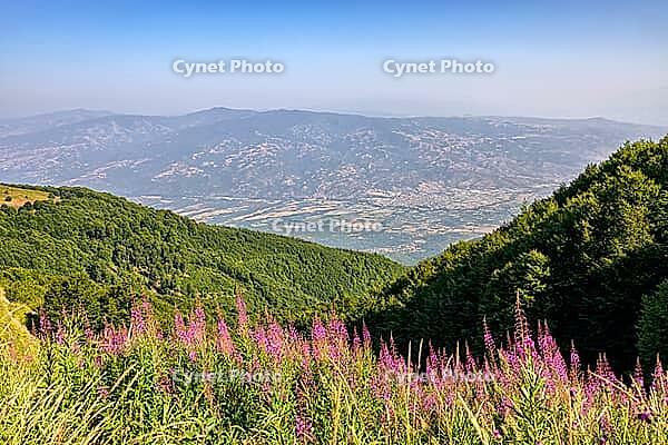 Sommeransicht des Belasica-Gebirges, Bulgarien [IBR123790602]