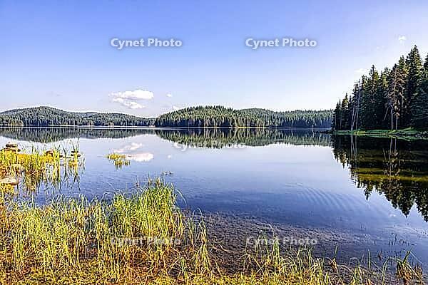 Erstaunlicher Spiegel am Shiroka Polyana Dam, Westrhodopen, Bulgarien [IBR123790603]
