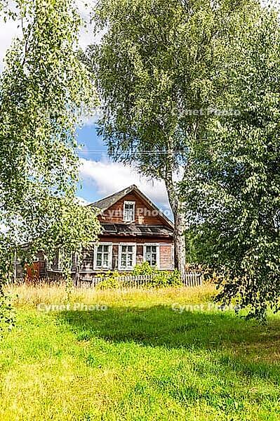 Old rural wooden house in abandoned russian village in summer sunny day ...